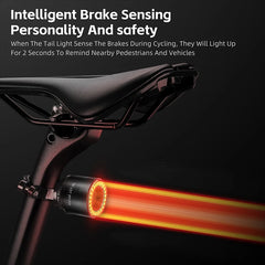 8-Color Bike Taillight with 15 Modes & IP66 Waterproof